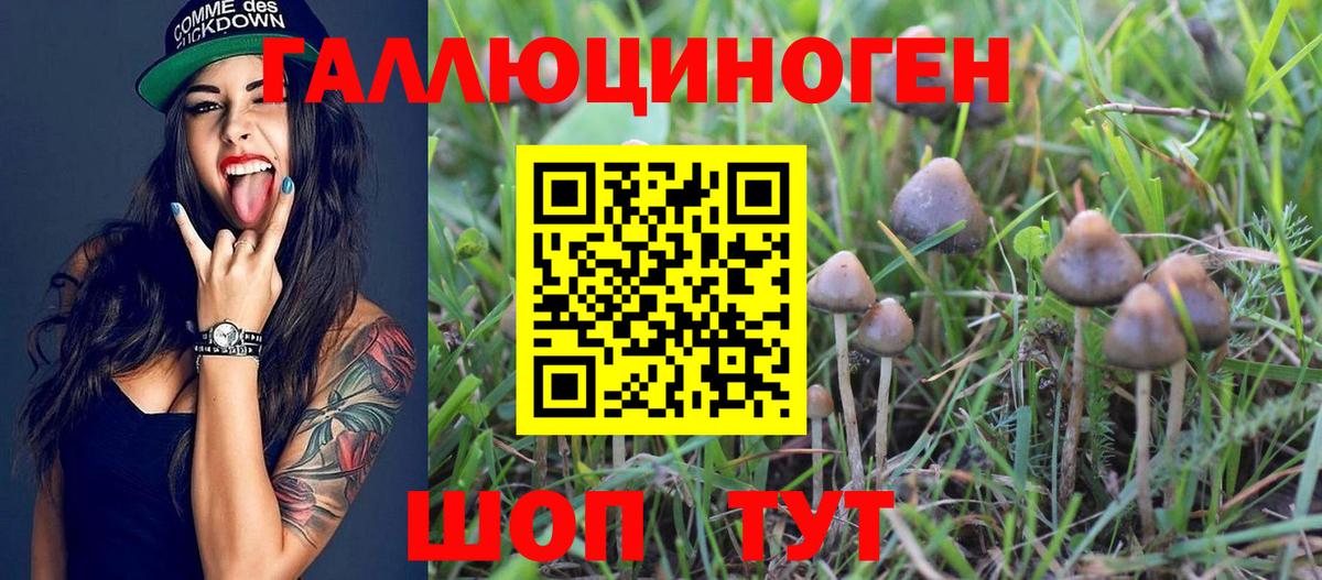 Галлюциногенные грибы ЛСД  дарнет шоп  Киров  Галлюциногенные грибы мухоморы  Вход с VPN 