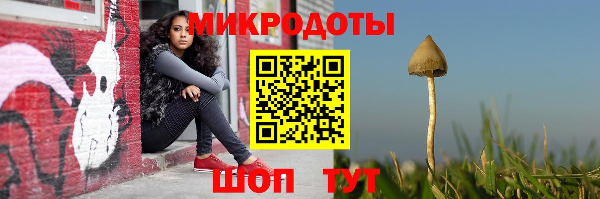 Галлюциногенные грибы Psilocybe Киров