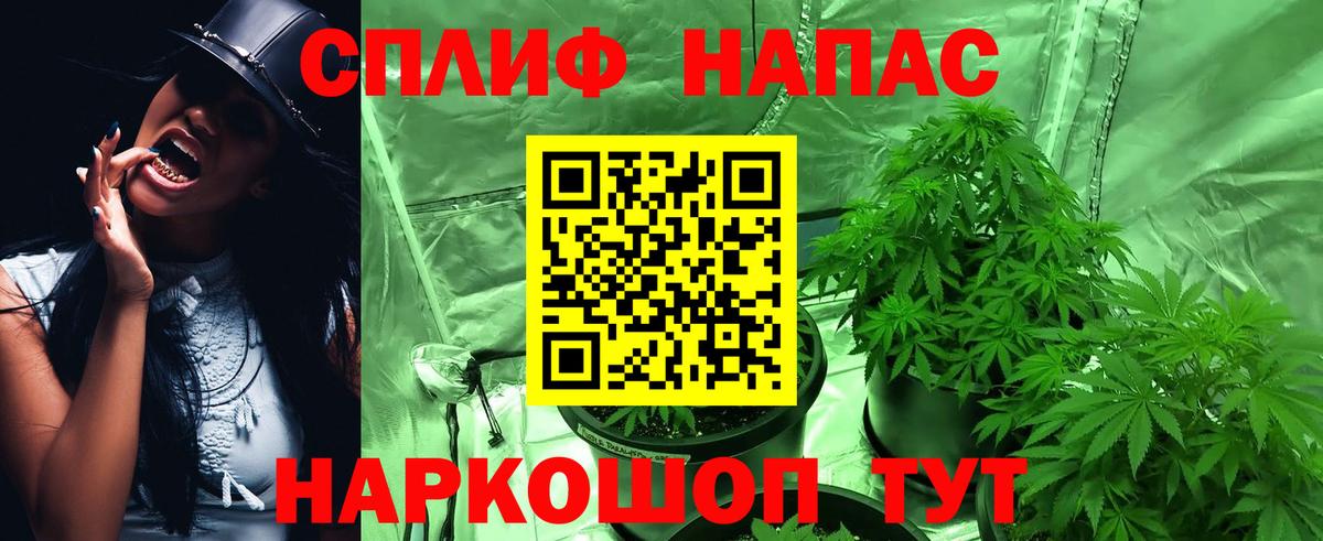 МАРИХУАНА MAZAR  МАРИХУАНА ГИДРОПОН  Вход с VPN  Киров 